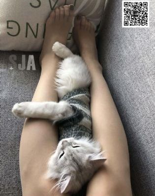 亚洲v欧美v_影视大全在线观看