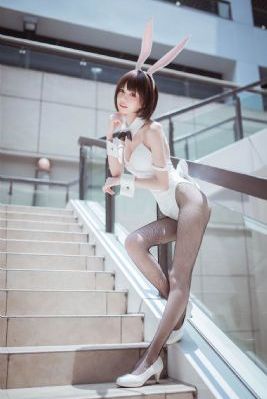 买的小兔子怎么喂养_4K视频大全