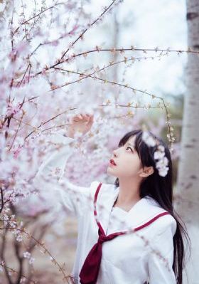 美女网站www精品软件破解版_BD影视在线观看